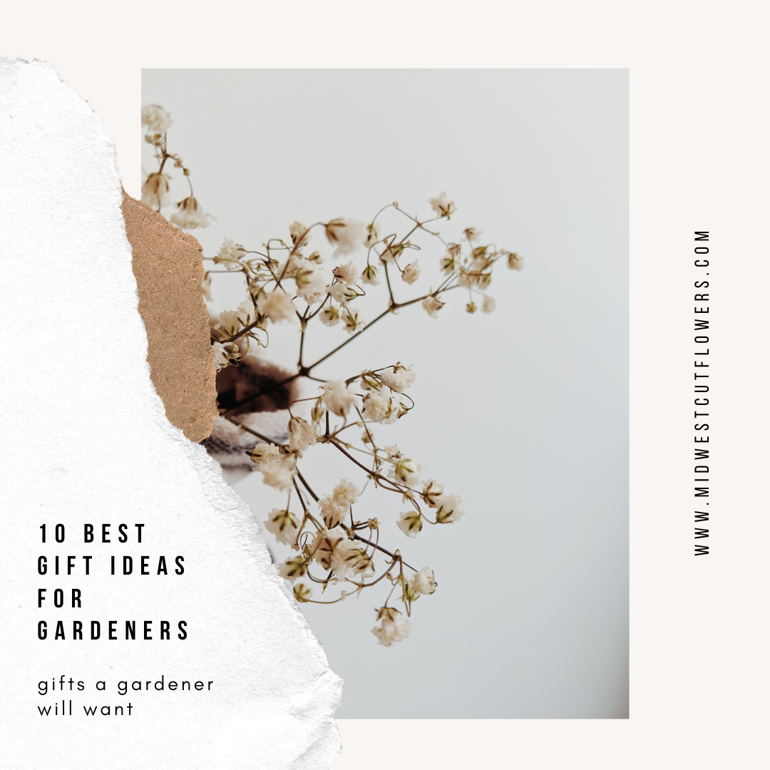 Gift idea Christmas / 10 gifts a gardener would want/ gift ideas for gardeners 2020