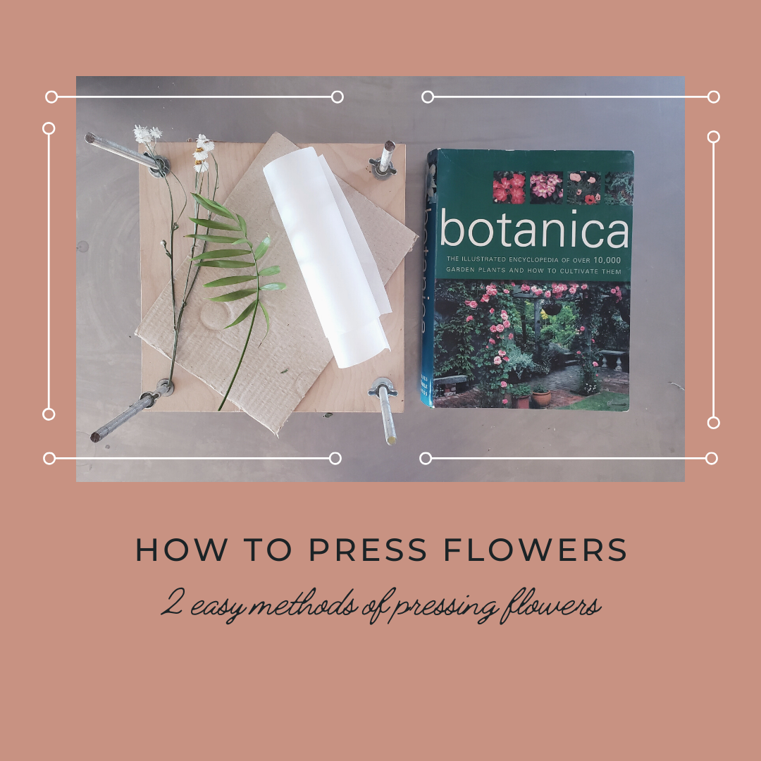 How to press flowers