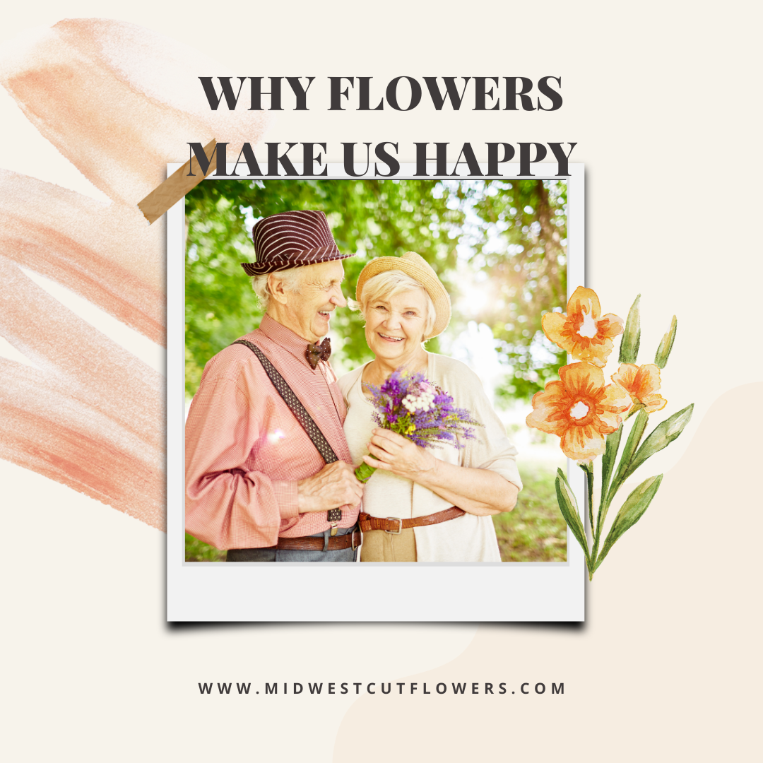 Why flowers make us happy