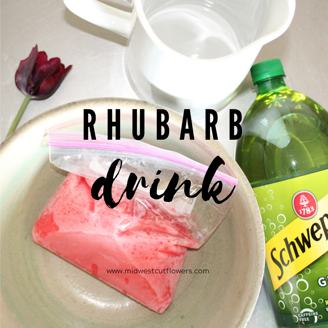 rhubarb punch recipe easy summer drink recipes